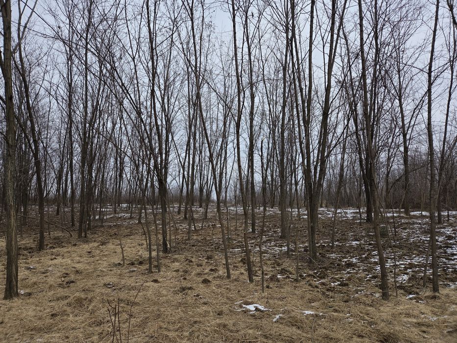 De vînzare teren in com. Teisani-  Judetul Prahova