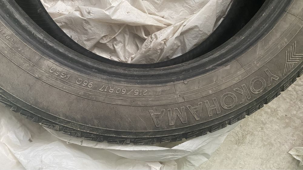 Продам якохаму 4 шт