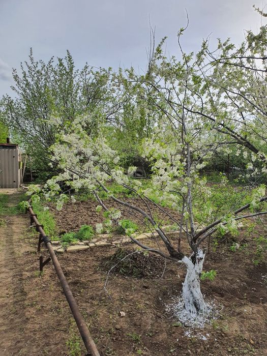 Продам дачу 10 соток с домиком