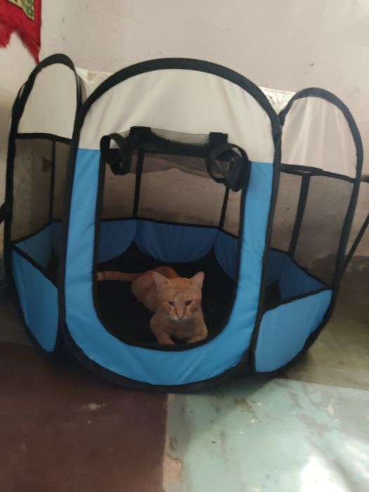 Продам манеж для животных
