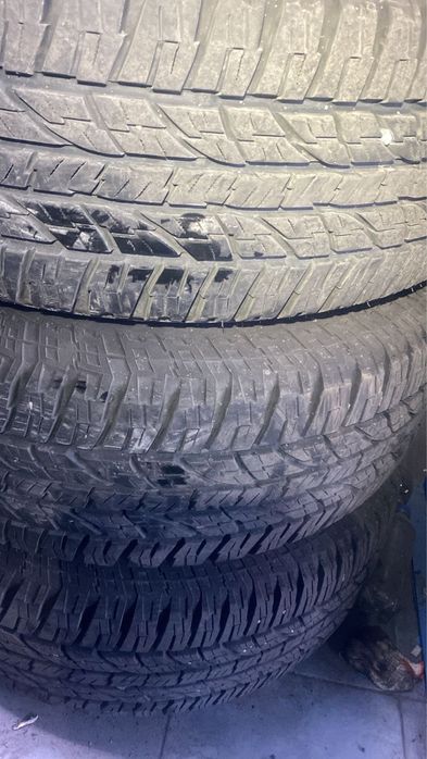 шины 2024 года дискы с ризинами