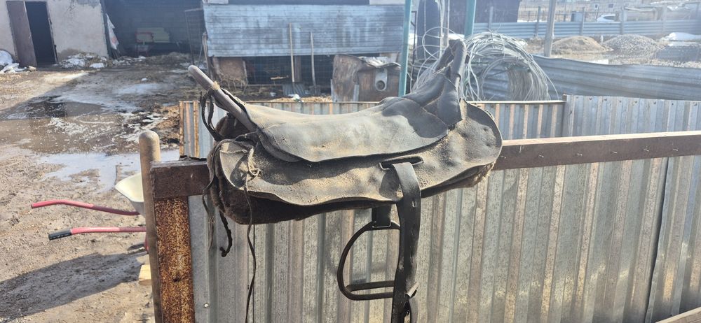 седло ер токымдар