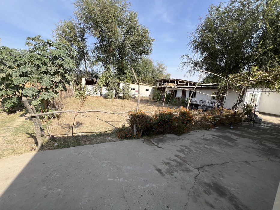 Manzil: Sirdaryo viloyat Sayxunobod tumani vodiy bitonka