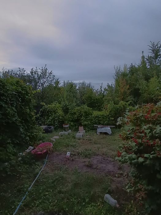 Срочно продажа дачи