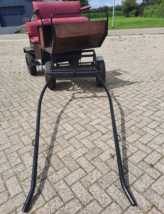 Trăsură 6 persoane