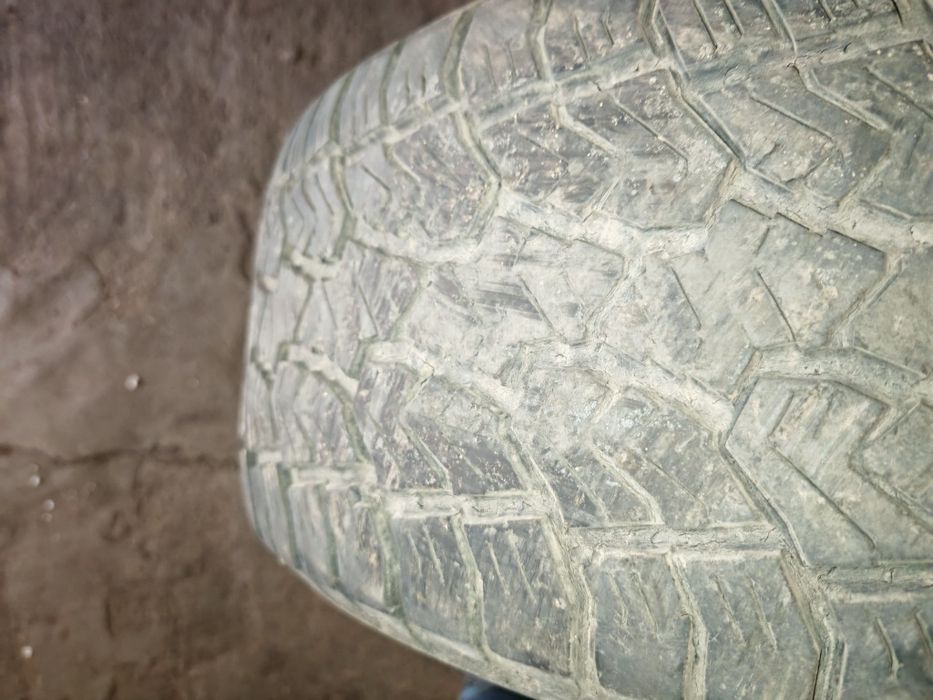 Шины летние sailun