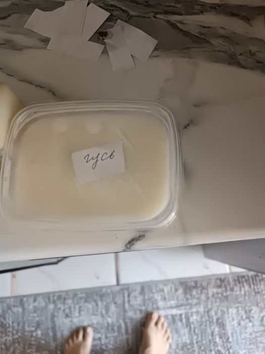 Продаю гусиный жир