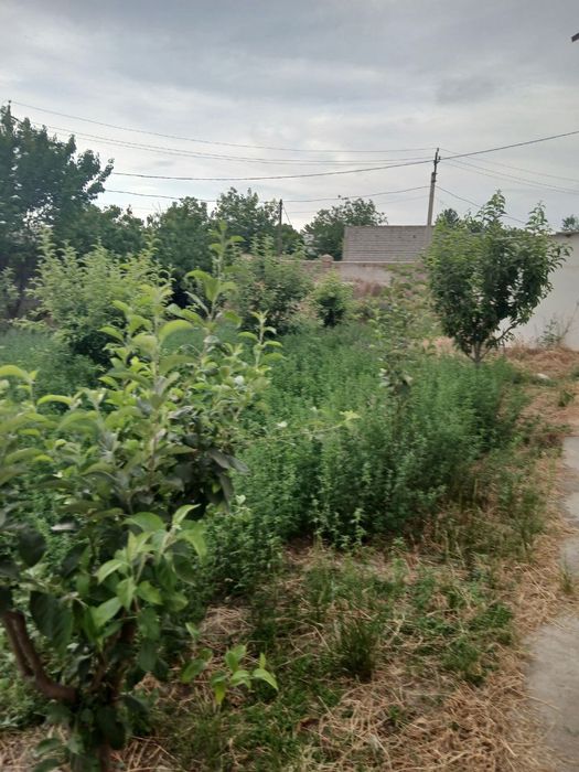 Uy joy qurish ichun yir maydoni