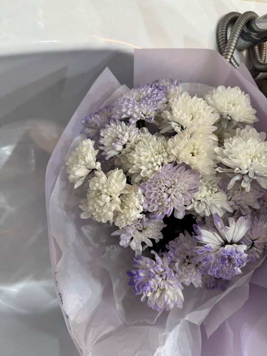 Продам цветы свежие