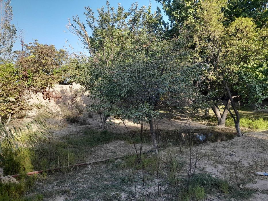 Кармана туман кумишкон махалласидан утиб васход дача