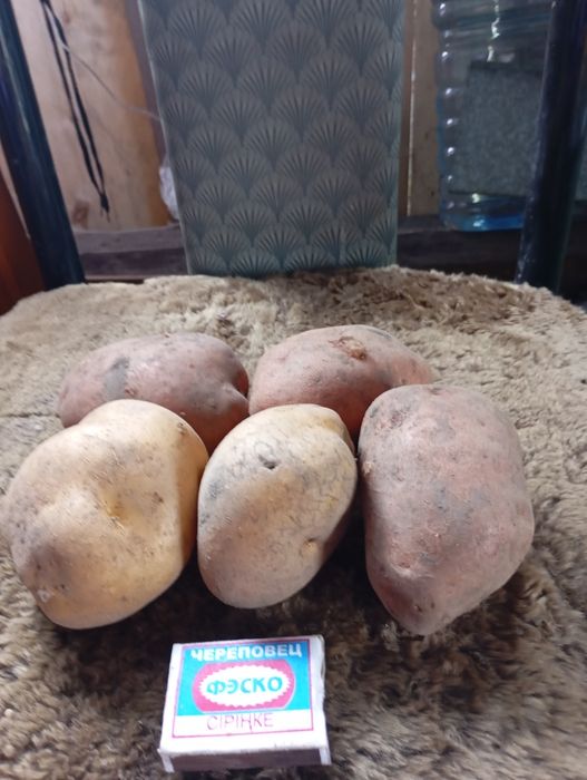 Картофель отборный