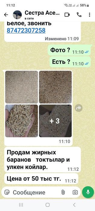 Продам зерноотходы 4500тг /мешок
