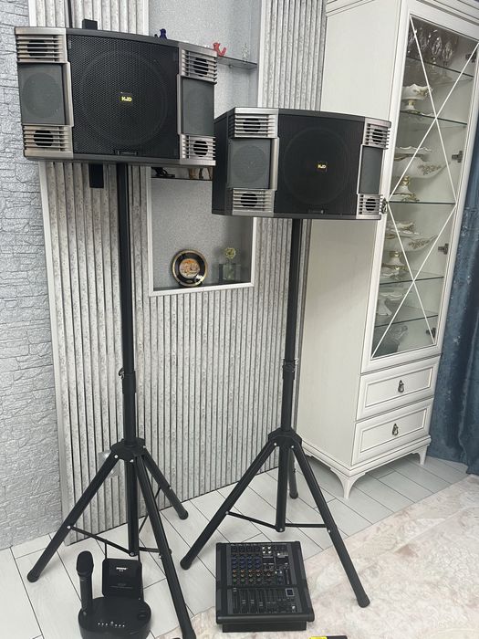 Прокат профессиональной караоке-системы