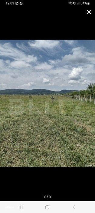 Teren De Vanzare Sesul Jelni, 5 Hectare