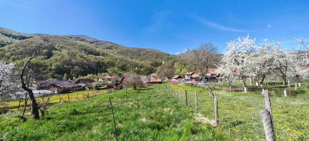 Casa si teren intravilan 3426mp la Poiana Galdei