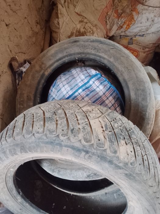 205/60/16 зимний шина