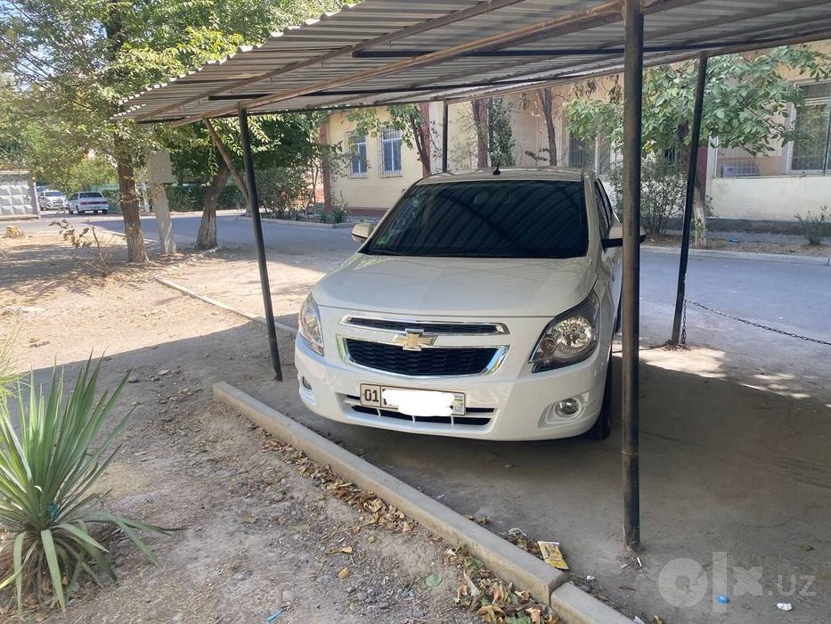 Cobalt 2023 arendaga beriladi.  2500 boshiga