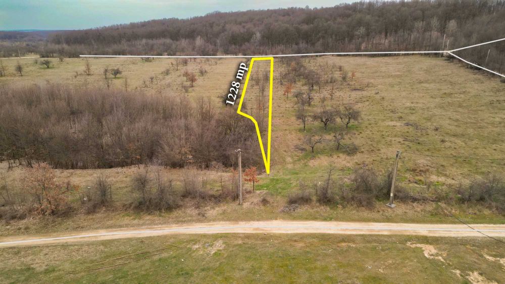 Teren 1228 mp între păduri - o oază de liniște la 20 km de Târgoviște