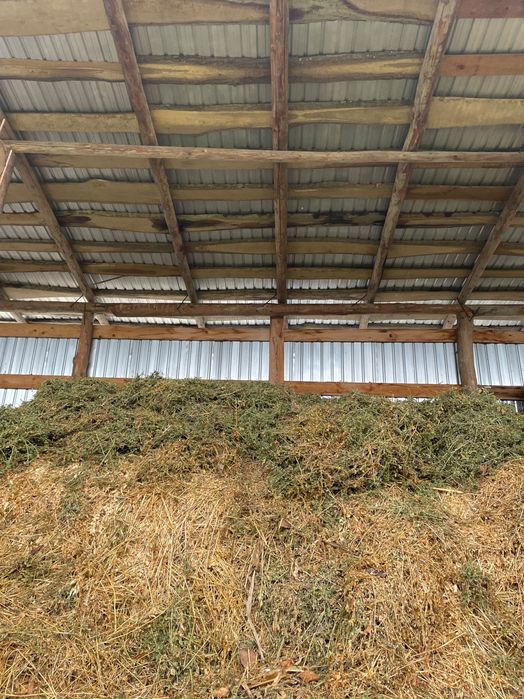 Baloți și lucernă de vânzare !