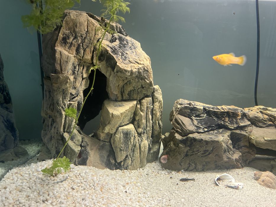 Acvariu Ferplast 250L complet echipat + duplap, pesti,plante accesorii