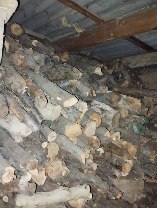 Oʻtin sotiladi dastafka toshken boʻylab