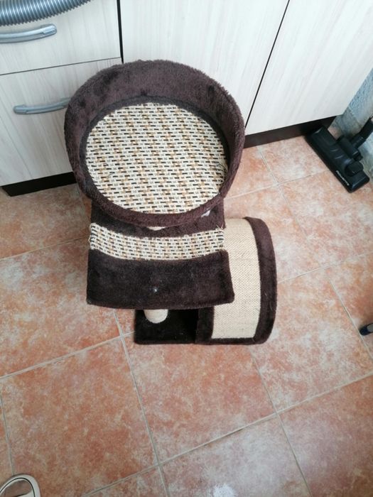 Котешка катерушка (драскалка)