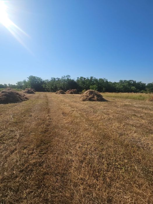 Teren Albota, intravilan + extravilan - 4600 mp