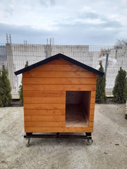 Cusca de câine izolată