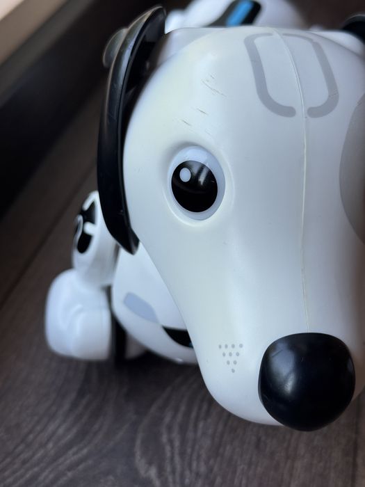 Робо куче дакел