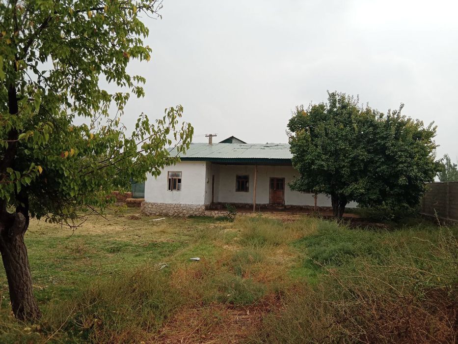 Когон тумани Кизилолма кишлогида 15 сотихли тайёр ховли сотилади.