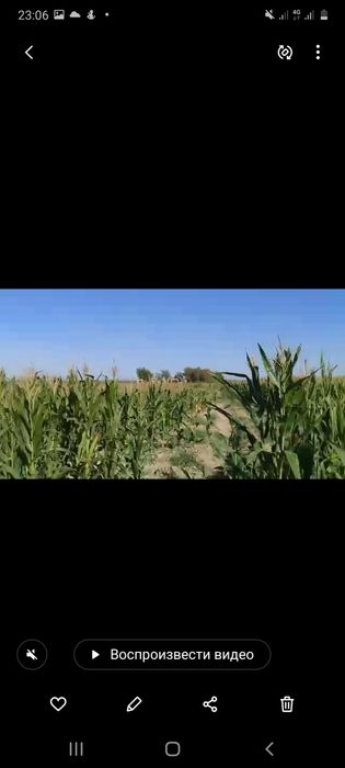 Қора сатылады мал кора
