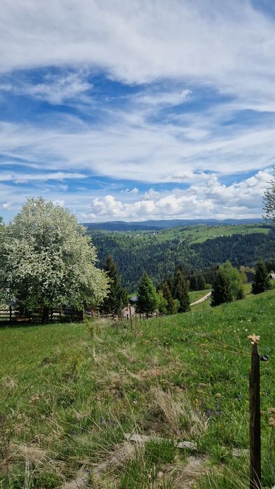 Teren  de vânzare