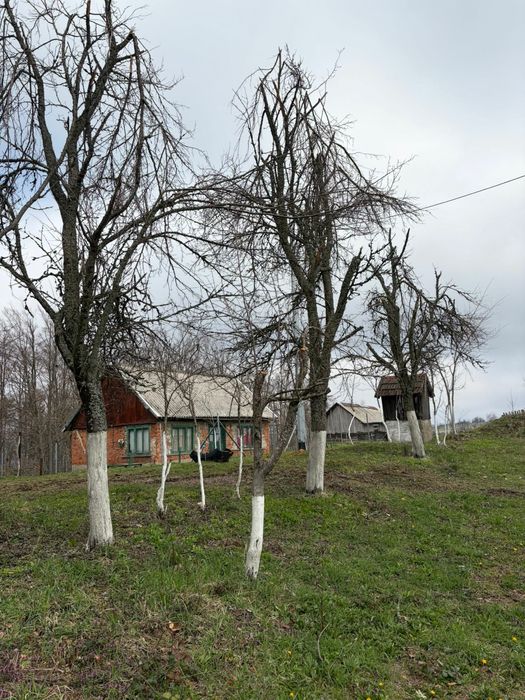 Vând casă cu teren intravilan