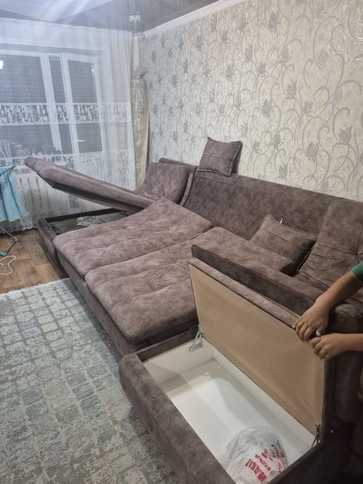 Диван пума, длина 3.9 м.