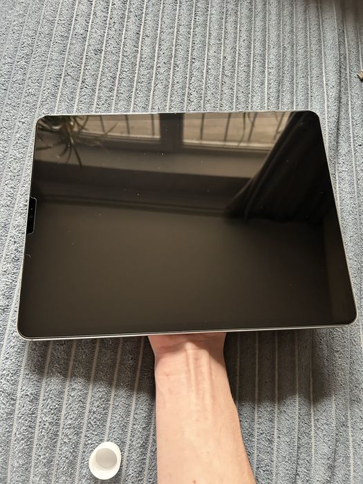 Ipad pro 12.9 м2