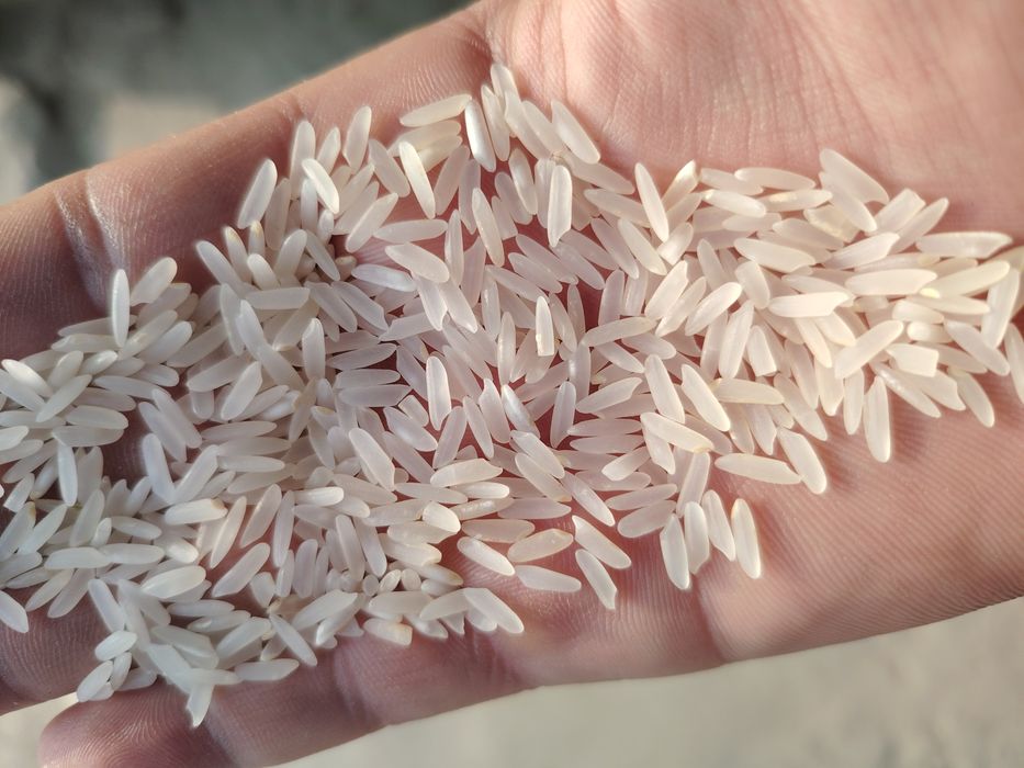 Ресейдегі сексуалды әйел полиция қызметкерлері