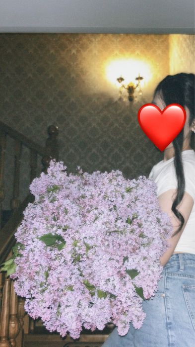 Сирень свежий и объемный