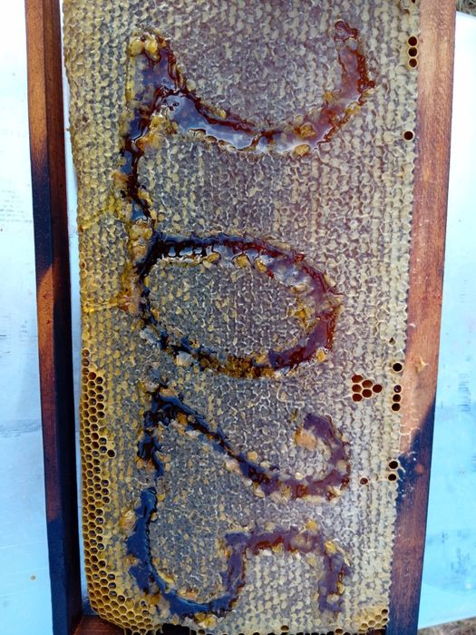 Пчелен Мед от Пчели