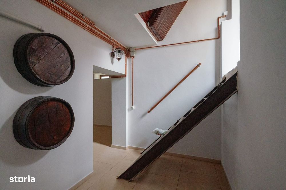 Proprietate unicat stil neoromânesc Ștefănești