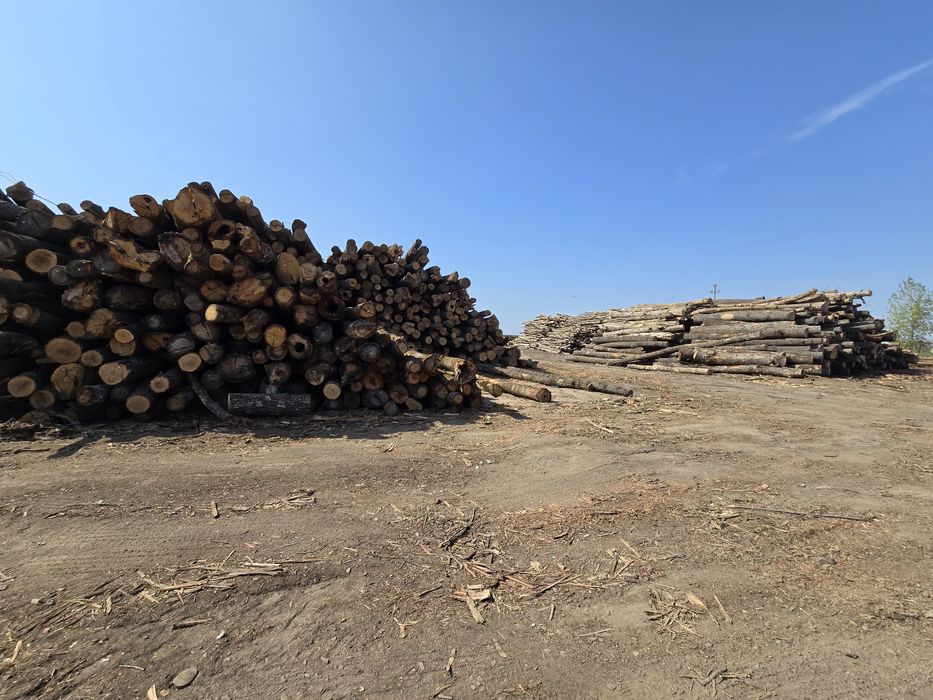 Lemn de foc uscat chiutuci sau sparte