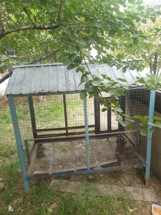 Tovuqlar uchun Katak