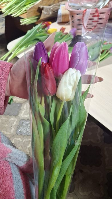 Тюльпаны на 8 марта