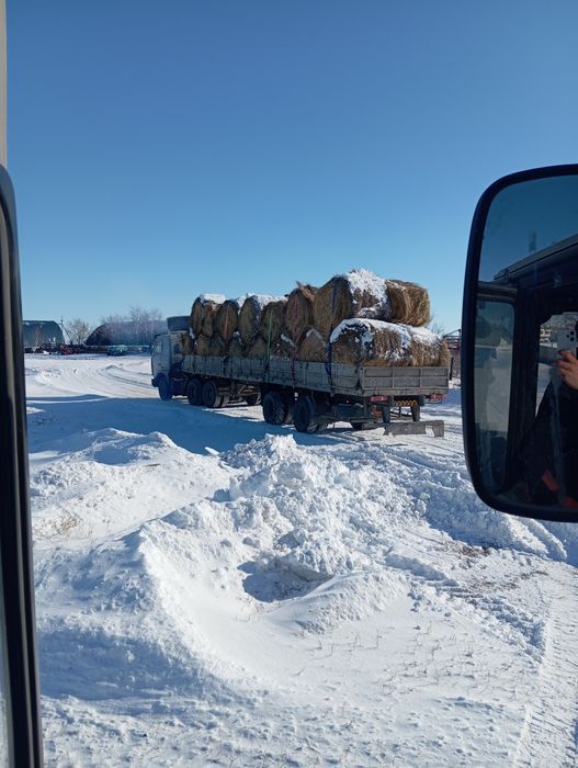 Продам  сено. село Становое