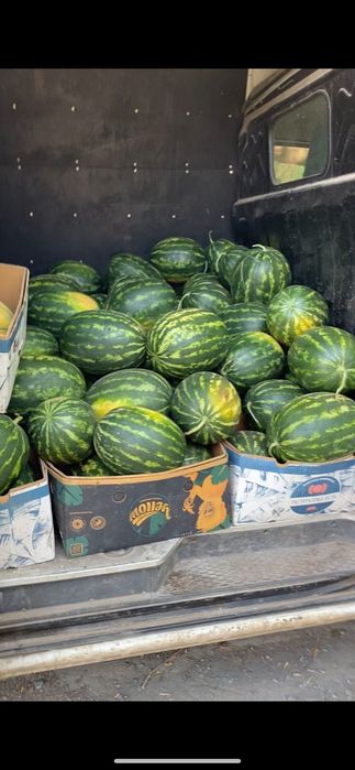 Vând pepeni en-gros