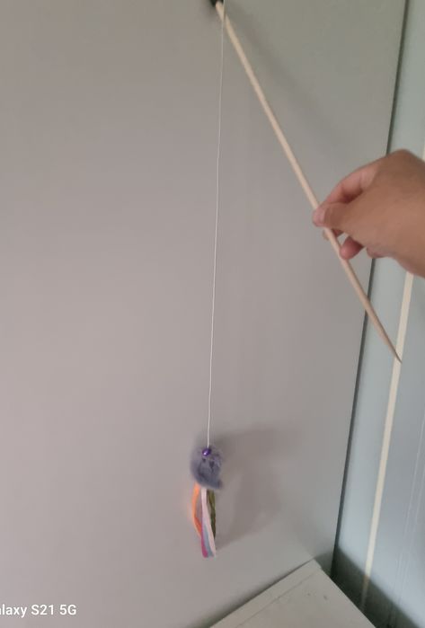 Принадлежности для кошечки