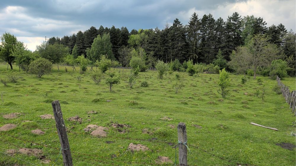 Doua Terenuri de vanzare Campulung Muscel si Bughea de Sus 3600/3300 mp pretabile casa/ investitie