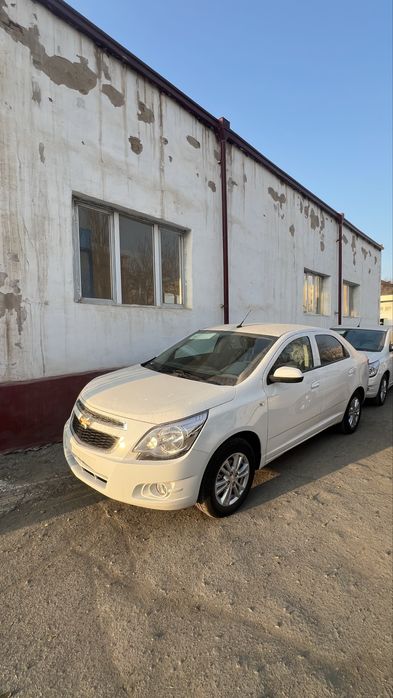 cobalt stayl MCM кобальт