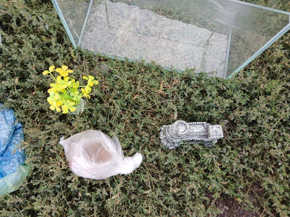 Аквариум хороший