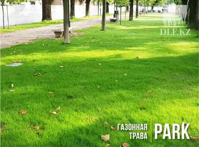 Газон Астана универсальный (в наличии)