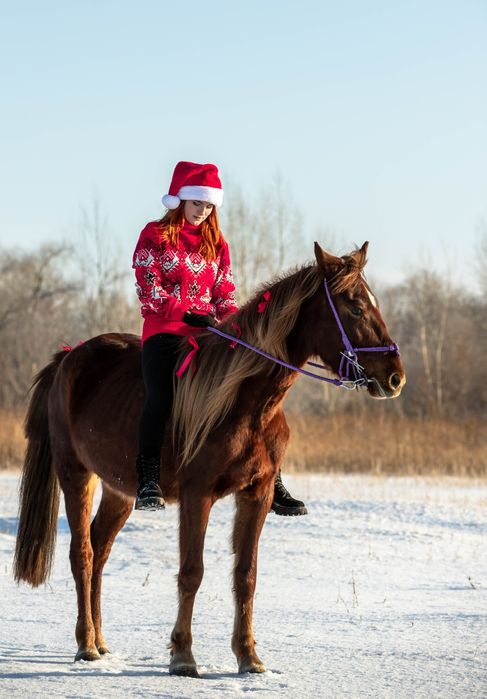 Продам кобылку 1,5г